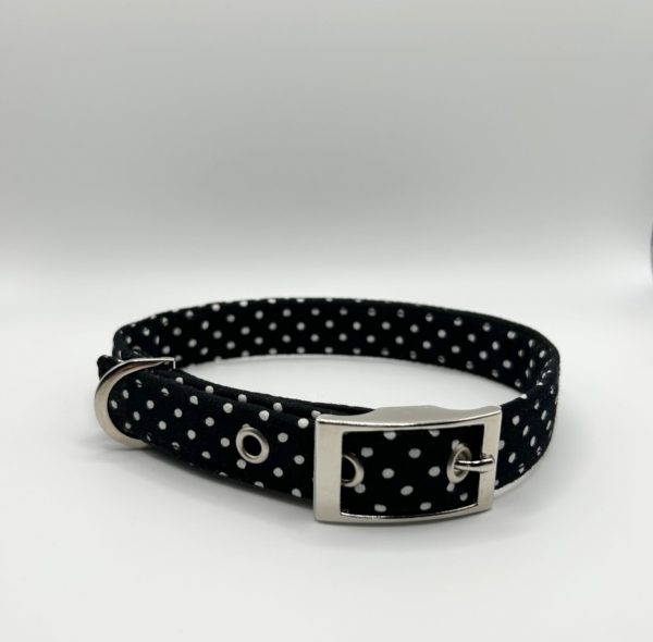 Black With Tiny White Spots Dog Collar