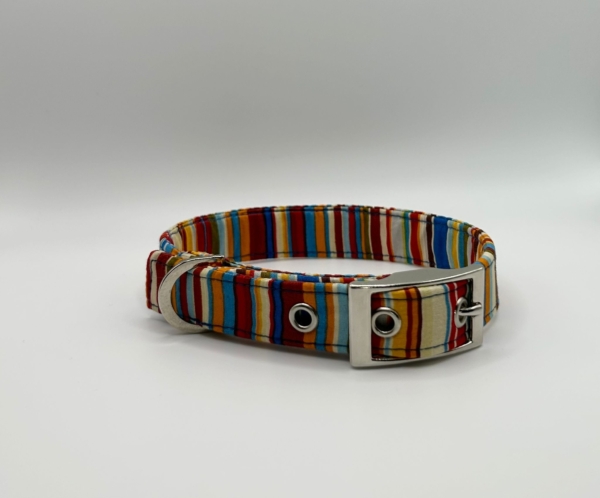 Blue And Orange Stripe Dog Collar