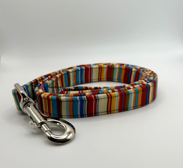 Blue And Orange Stripe Dog Lead