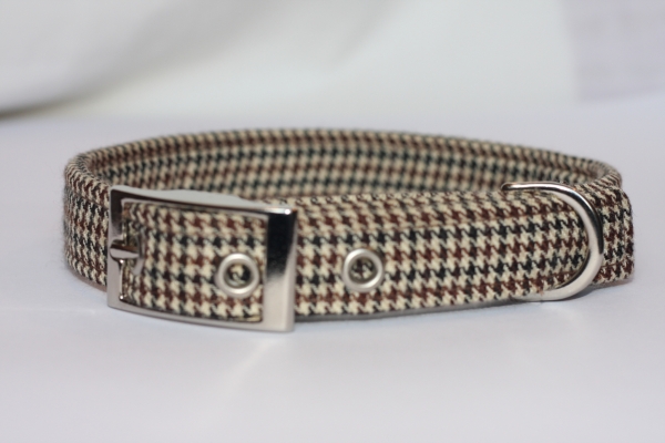 Dogtooth Dog Collar