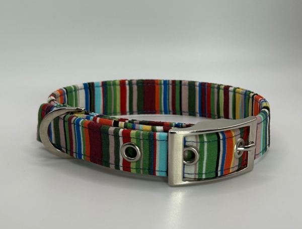 Green And Blue Stripe Dog Collar