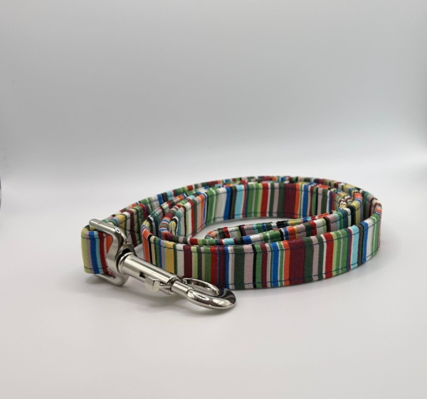 Green And Blue Stripe Dog Lead